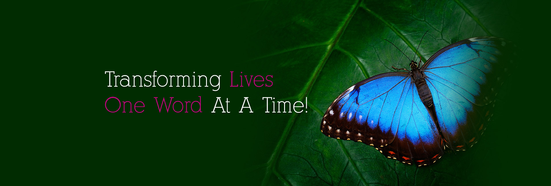Transforming Lives One Word at a Time
